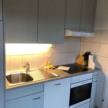 Cozy, Sunny, City Center 1 Bedroom Flat Zurych Zewnętrze zdjęcie