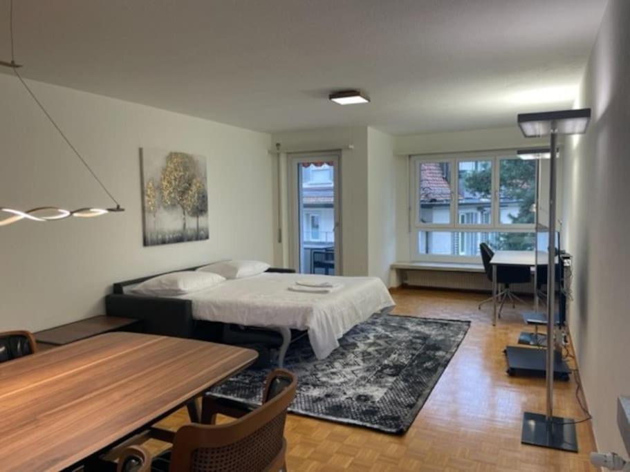 Cozy, Sunny, City Center 1 Bedroom Flat Zurych Zewnętrze zdjęcie